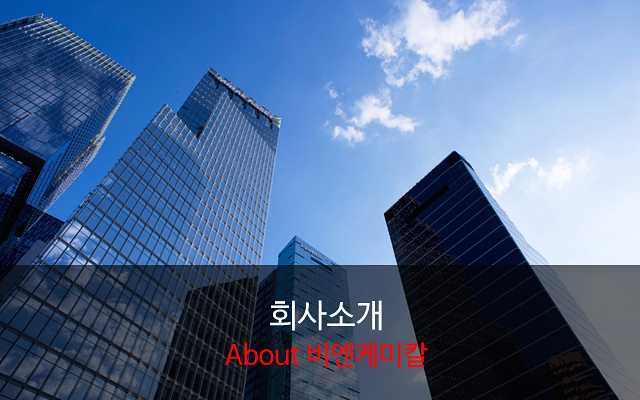 비엔케미칼